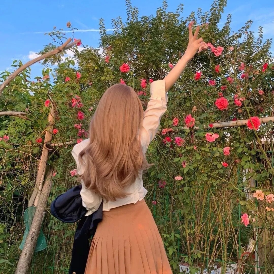香岛美人窝